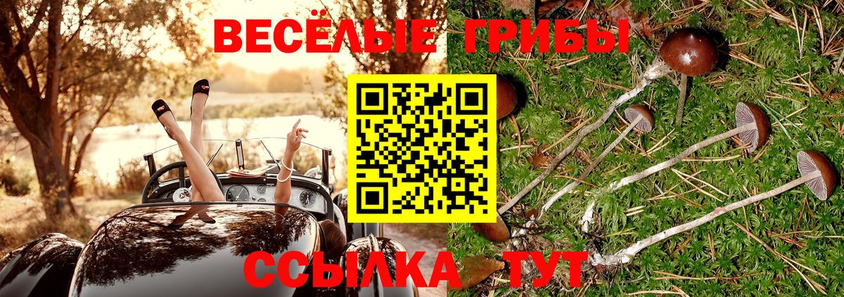 Псилоцибиновые грибы MAGIC MUSHROOMS  Вход с VPN  Псилоцибиновые грибы мухоморы  Усинск 